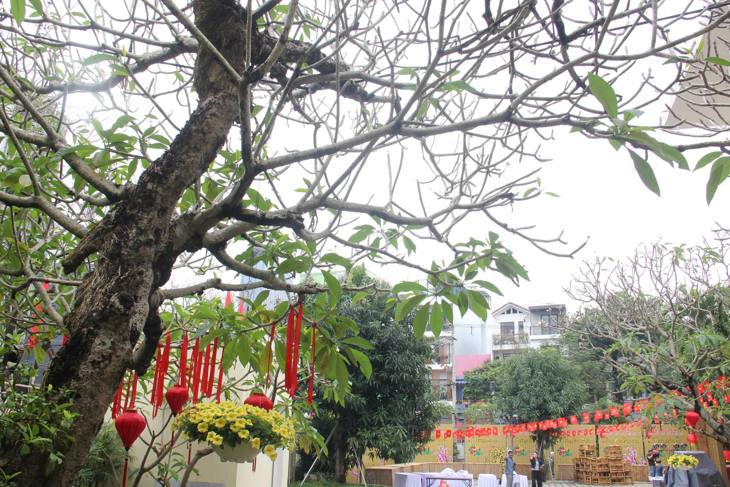 biệt thự Pháp - Ảnh 9.