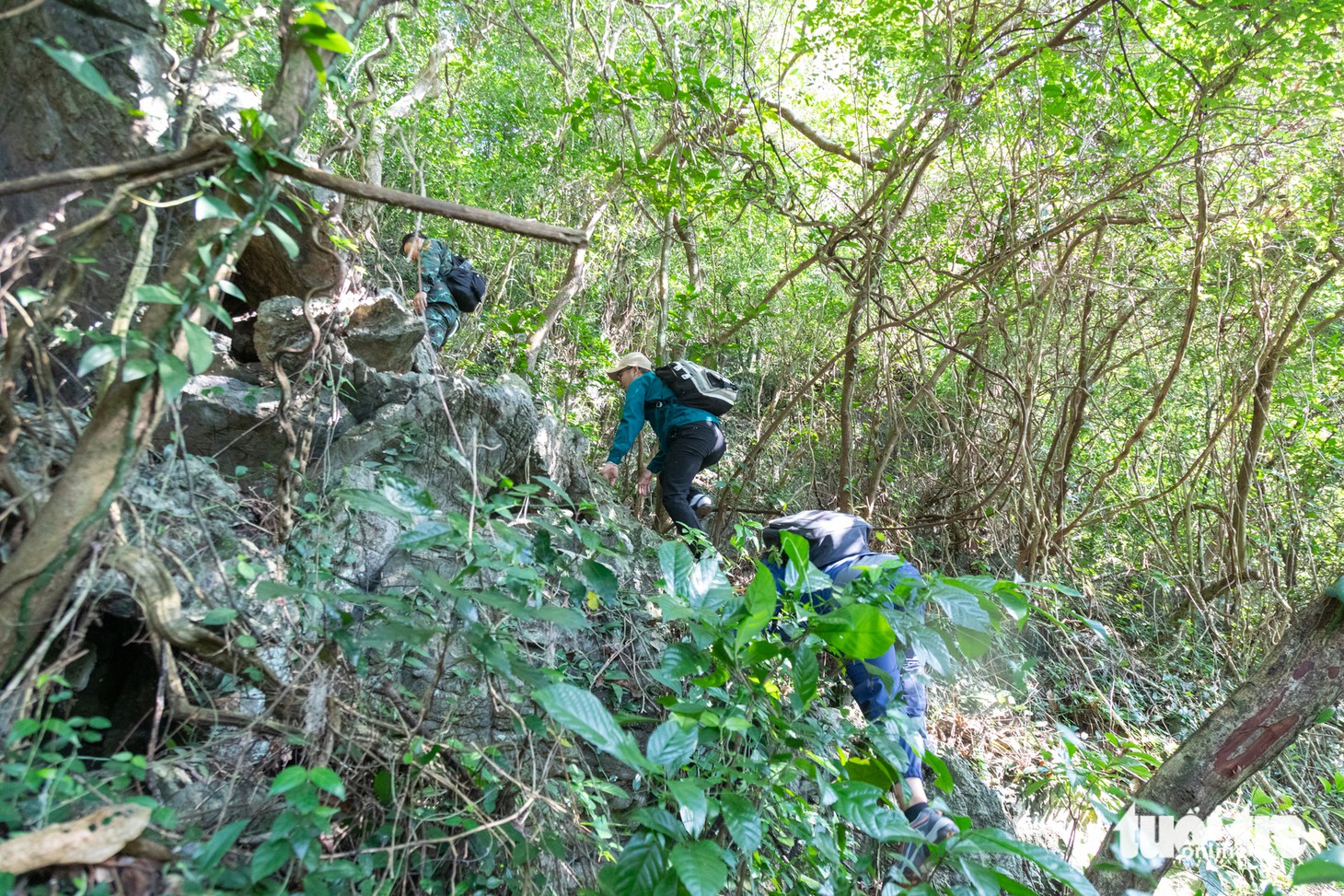 rockpile - Ảnh 6.