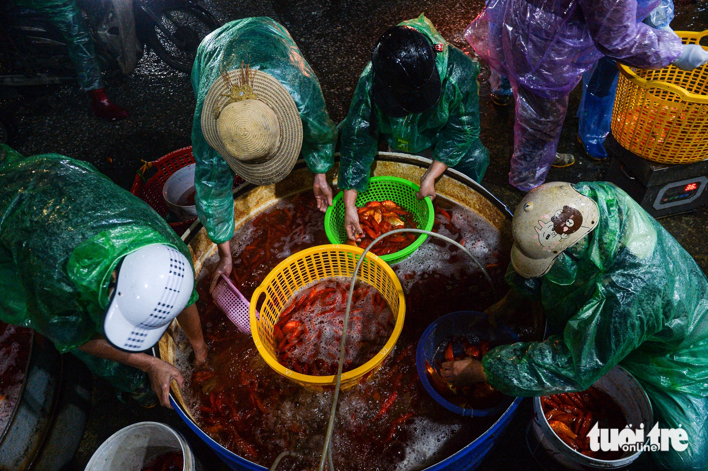 chợ cá - Ảnh 1.