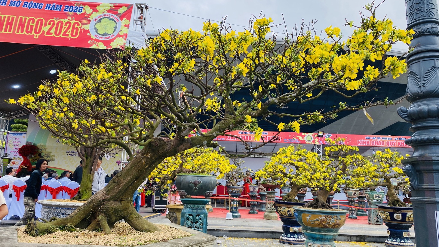 Đà Nẵng - Ảnh 7.