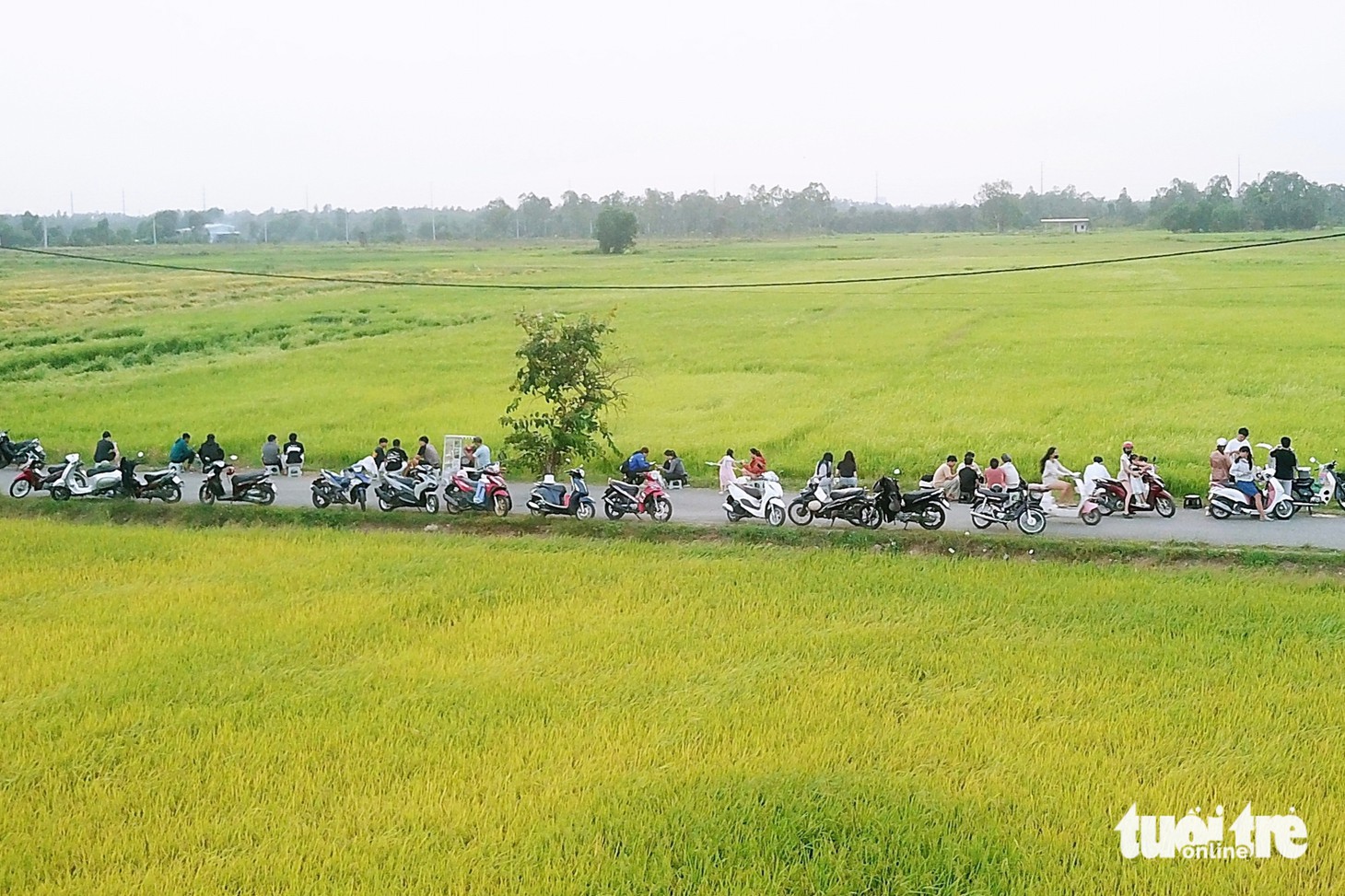 Xuân Thới Sơn - Ảnh 1.