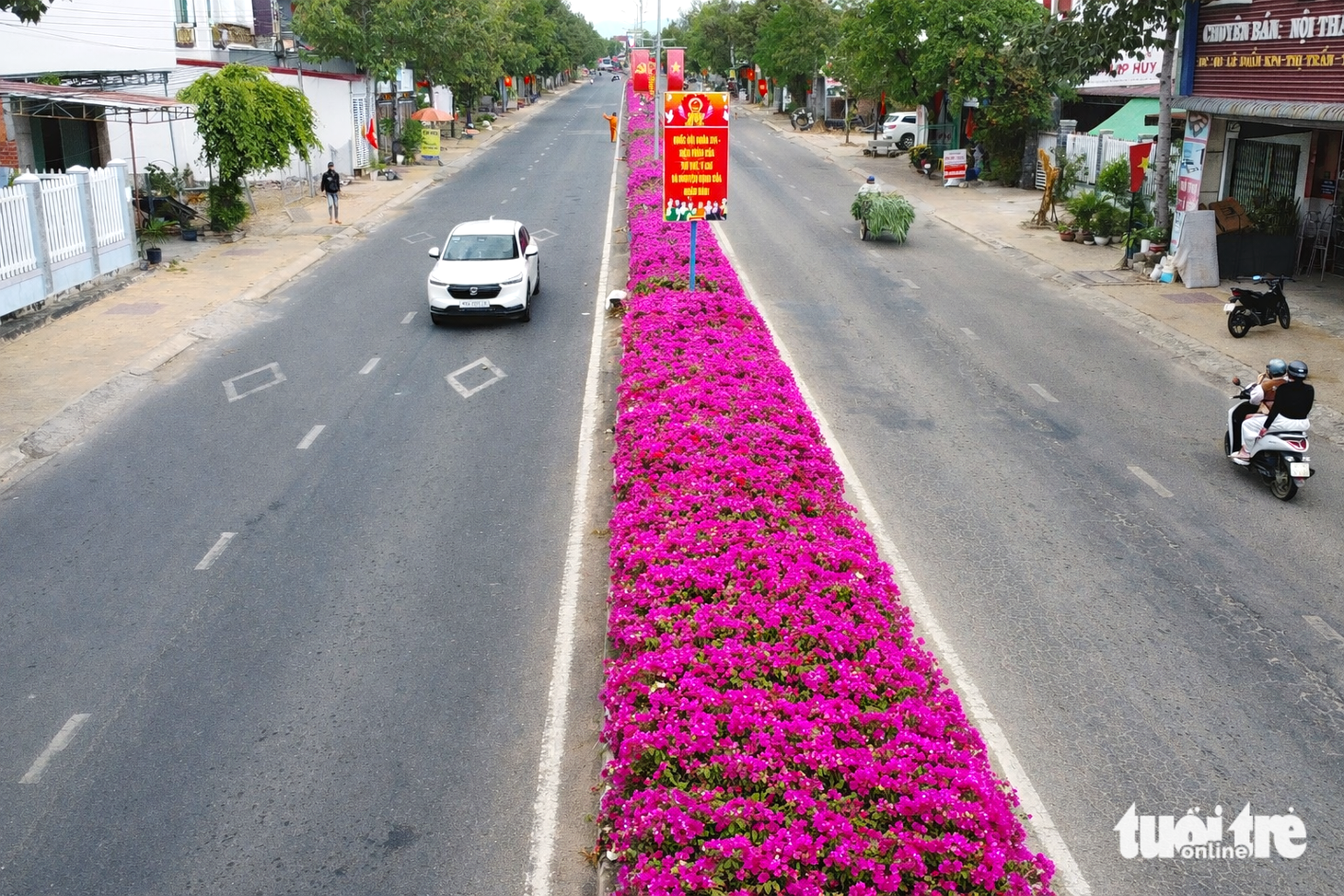 Hoa giấy - Ảnh 5.