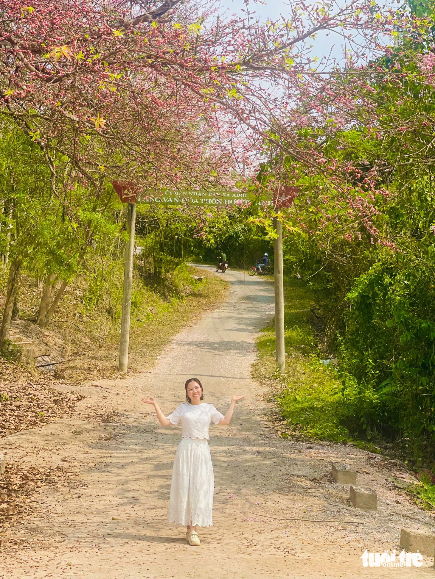 anh đào - Ảnh 6.