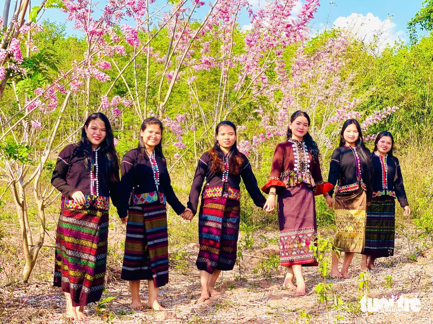 anh đào - Ảnh 7.