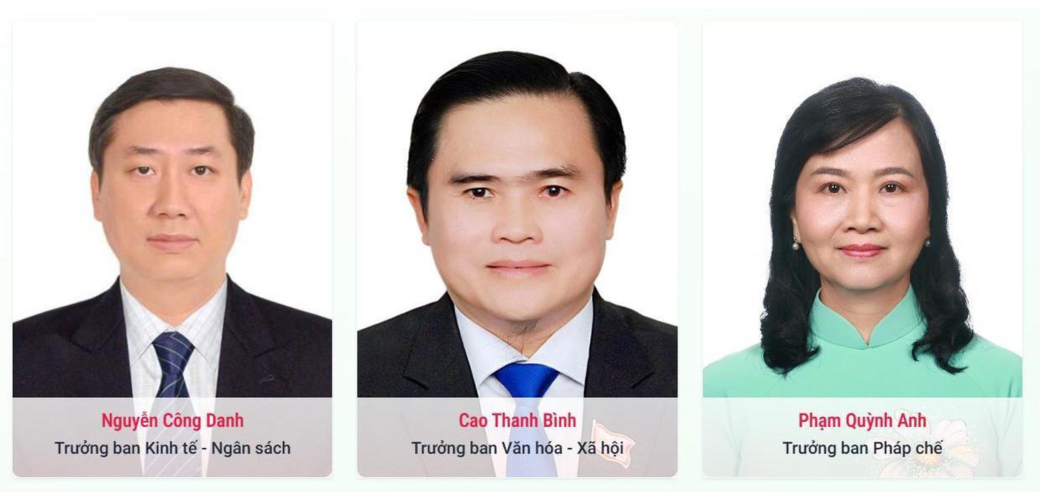 TP.HCM - Ảnh 7.