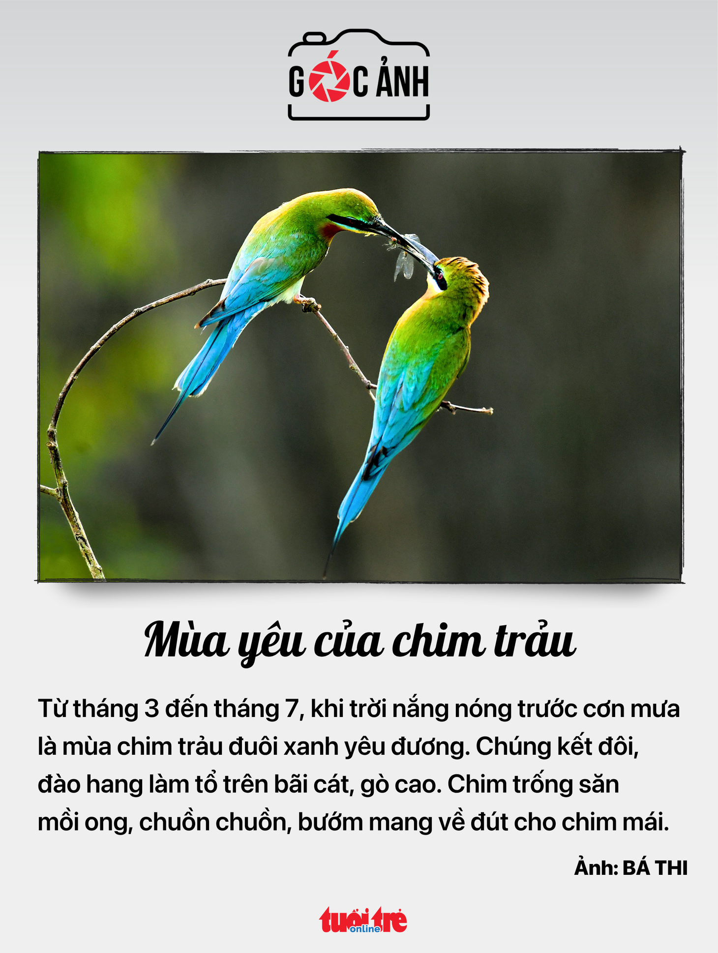 phương tiện chữa cháy - Ảnh 7.
