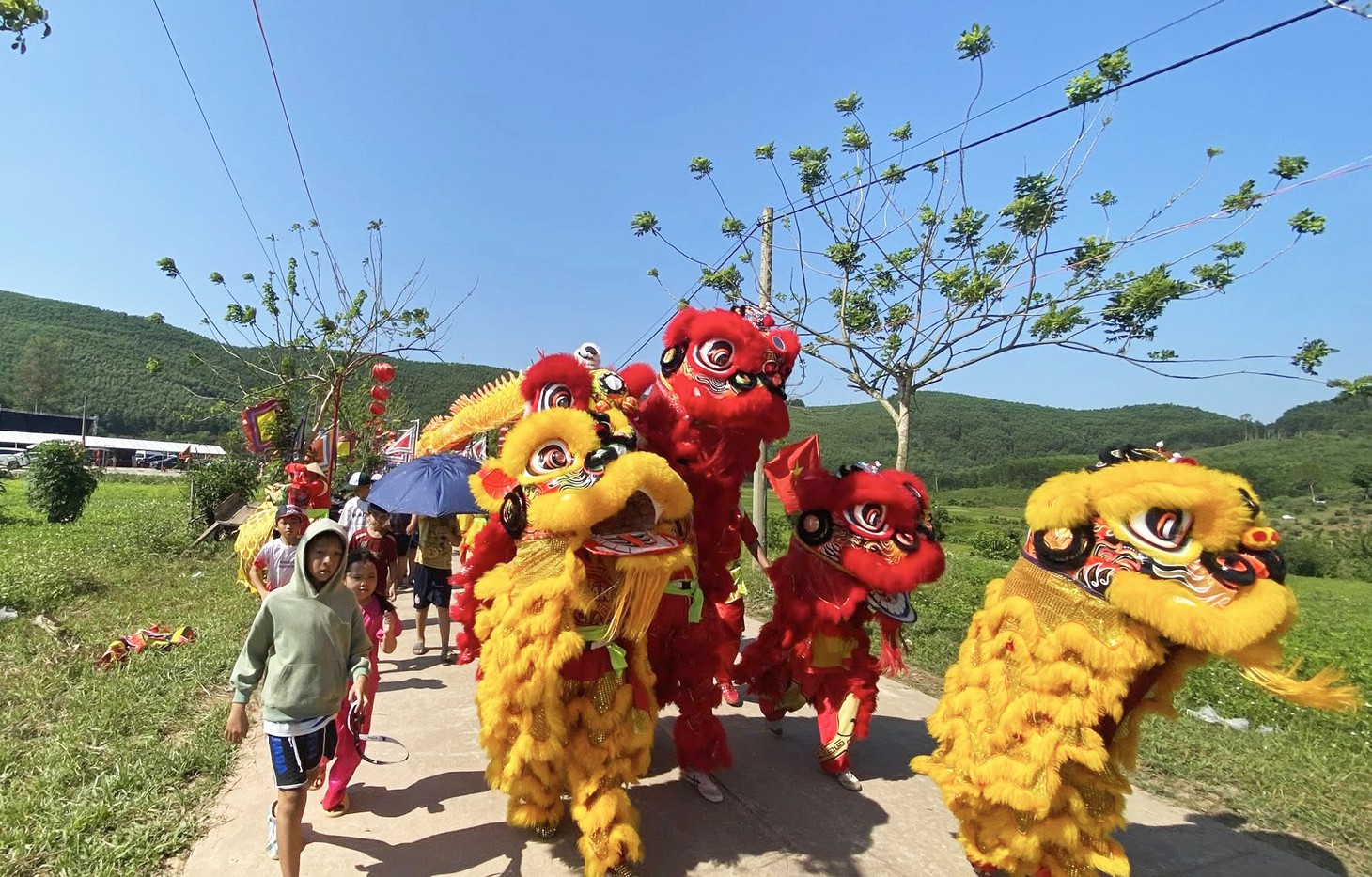 lễ hội Bà Thu Bồn - Ảnh 8.
