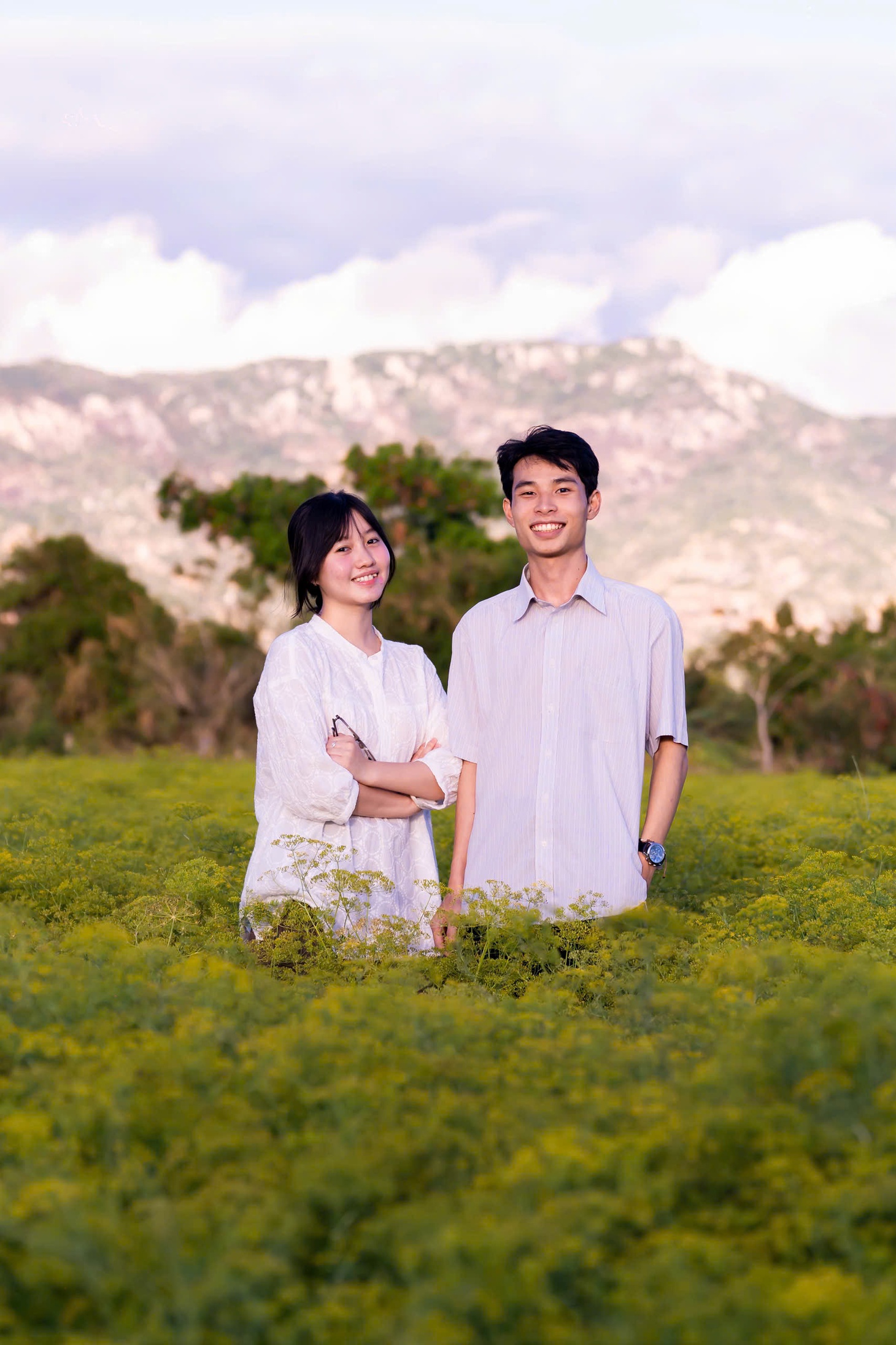 Thì là - Ảnh 8.