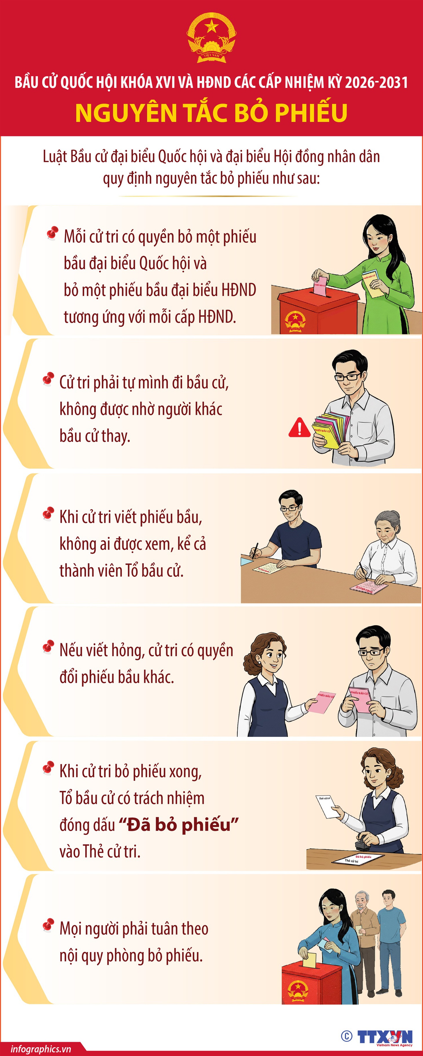 bỏ phiếu - Ảnh 1.