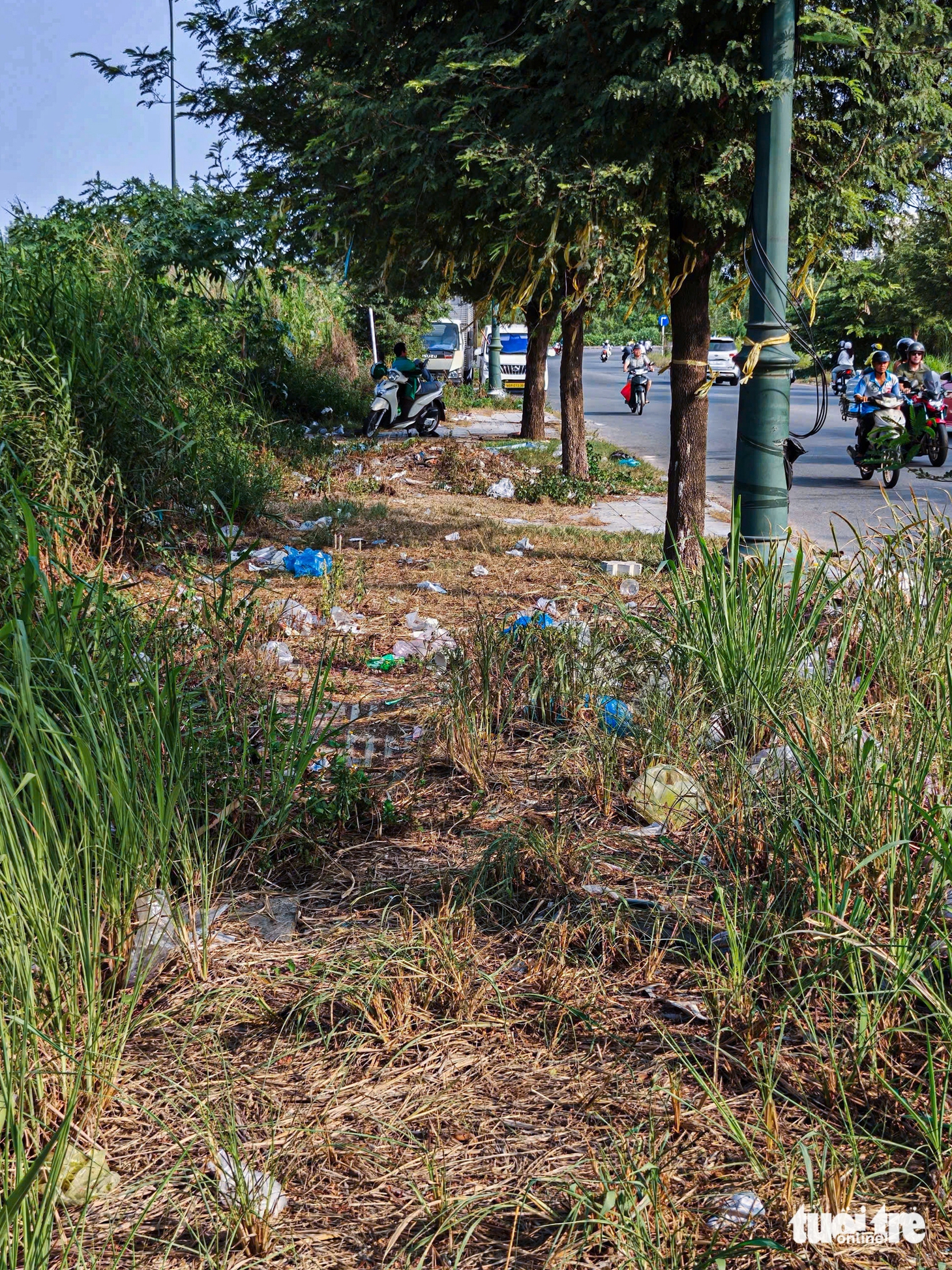 rác - Ảnh 7.