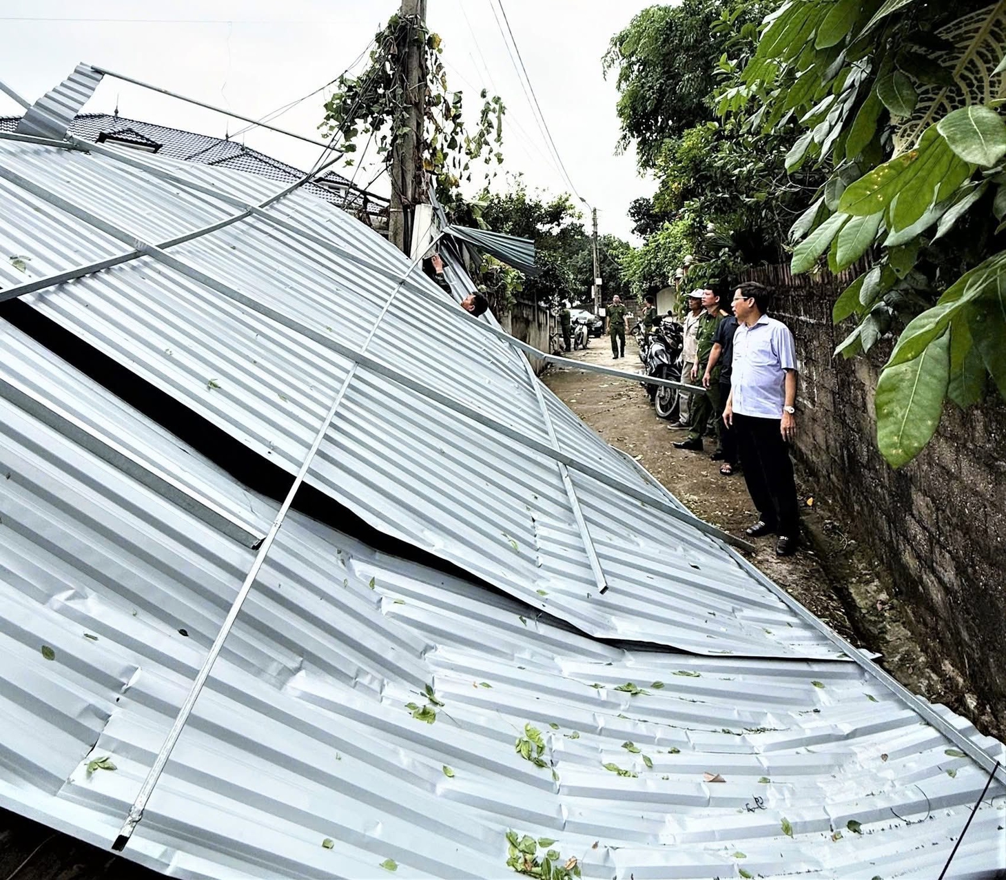 Lốc xoáy ở Phú Thọ làm 1 người bị thương, cây đổ trong cơn dông ở Thái Nguyên làm 1 người chết - Ảnh 1.