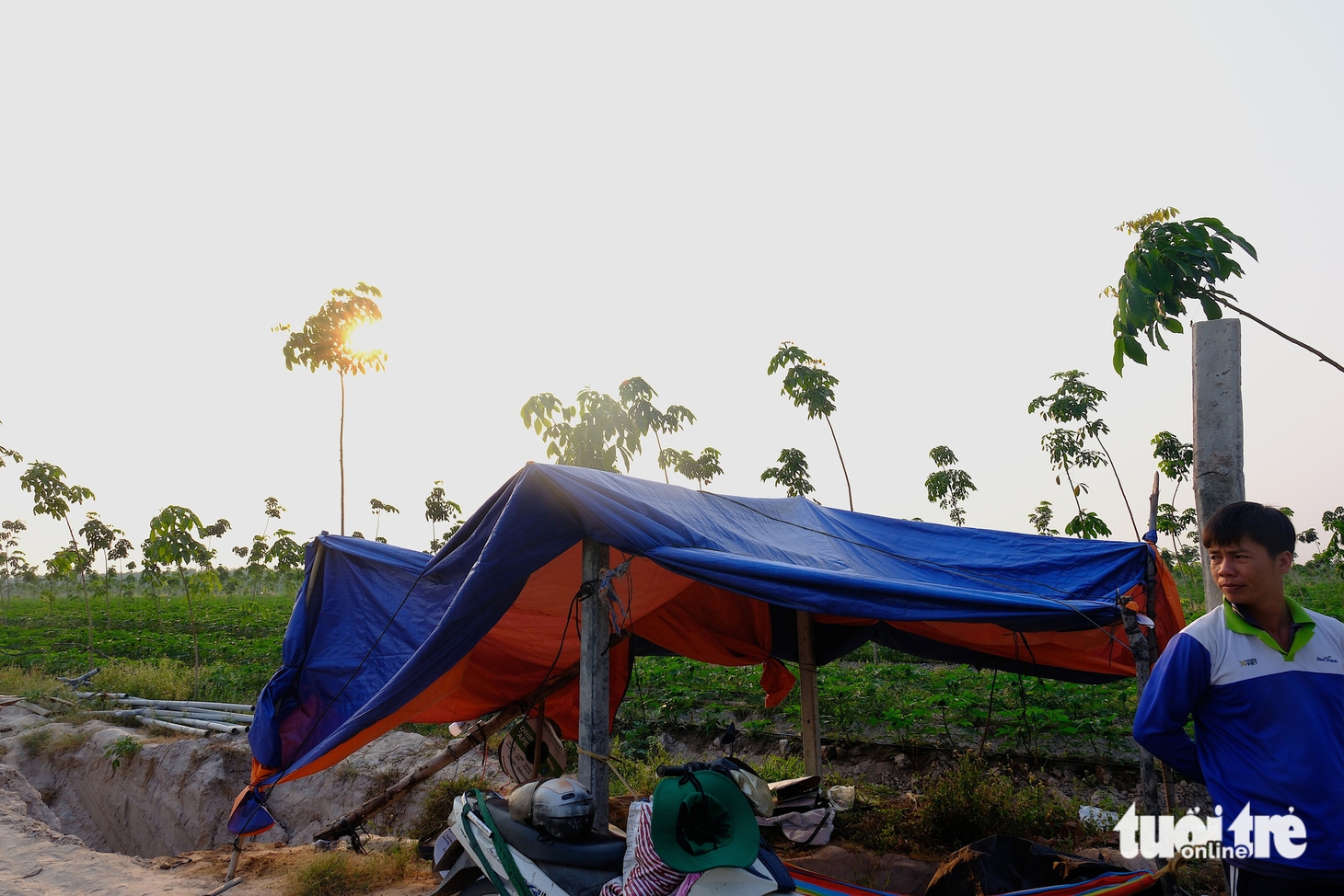 Nông dân 'thủ phủ sắn' Tây Ninh: Ngày đào hố sâu tìm nước, đêm 'ôm' mô tơ lo trộm cắp - Ảnh 6.