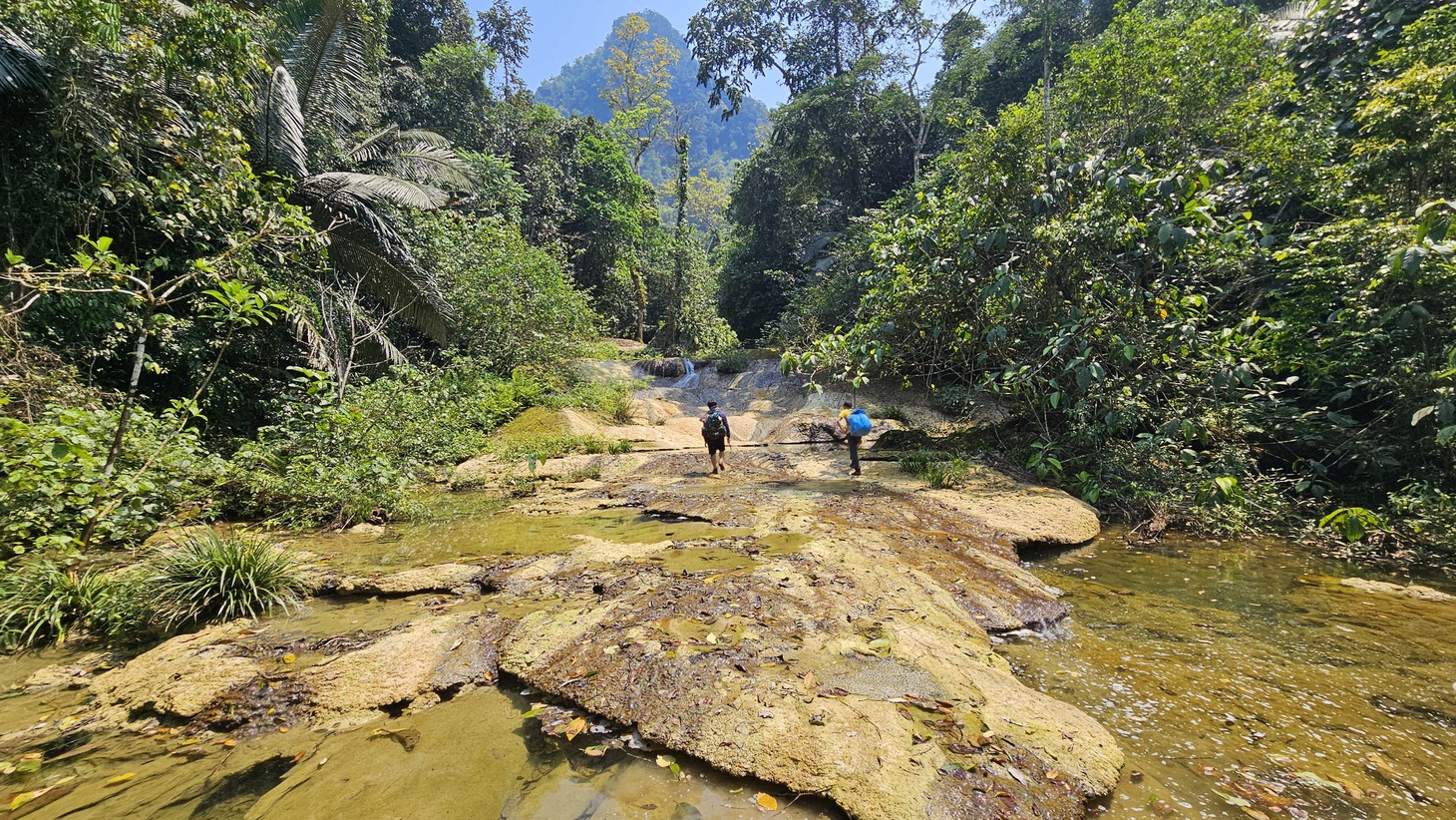 Phát hiện 26 hang động mới ở Phong Nha - Kẻ Bàng, có hang đặc sắc dài 4,2km - Ảnh 7.