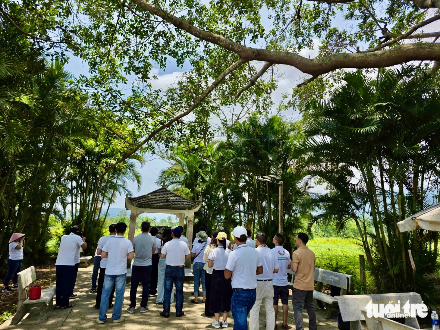 Du khách tham gia caravan ngắm vùng lũ Hòa Thịnh hồi sinh - Ảnh 12.