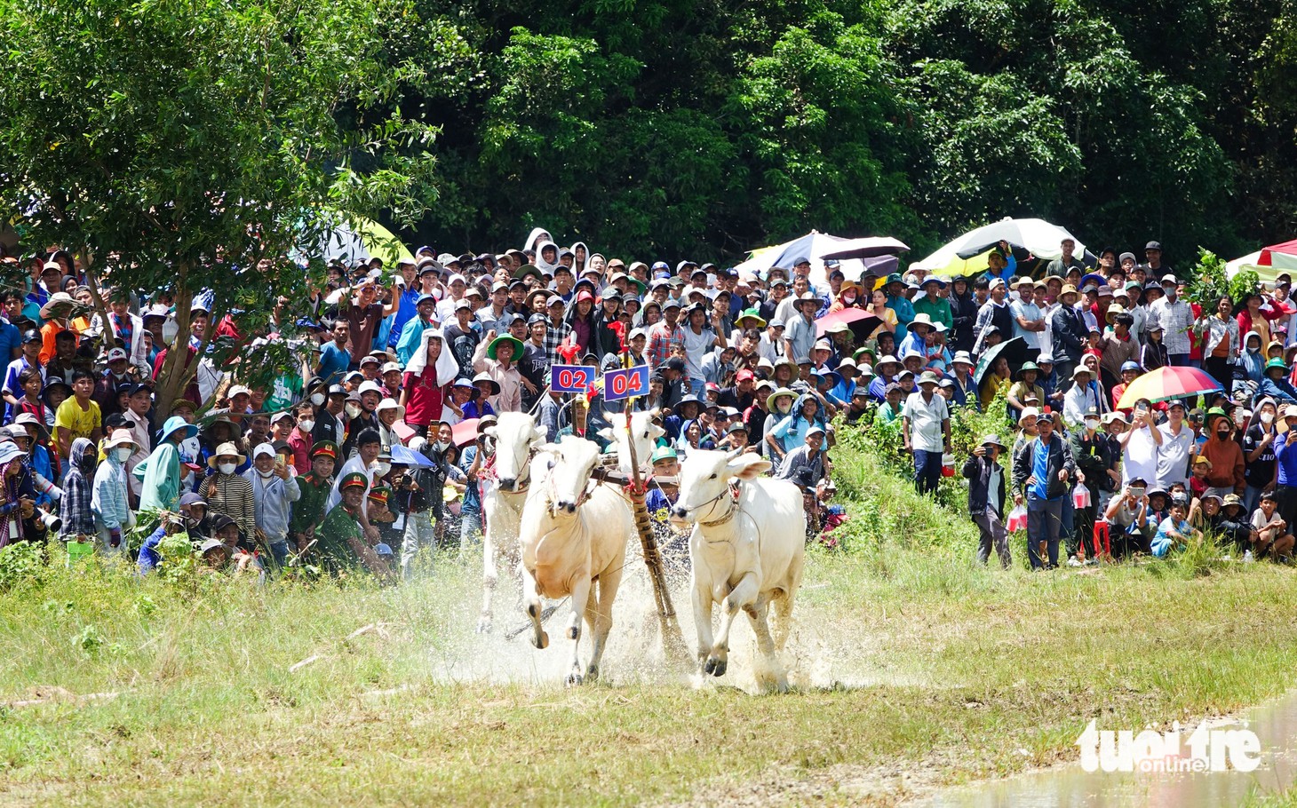 An Giang - Ảnh 3.