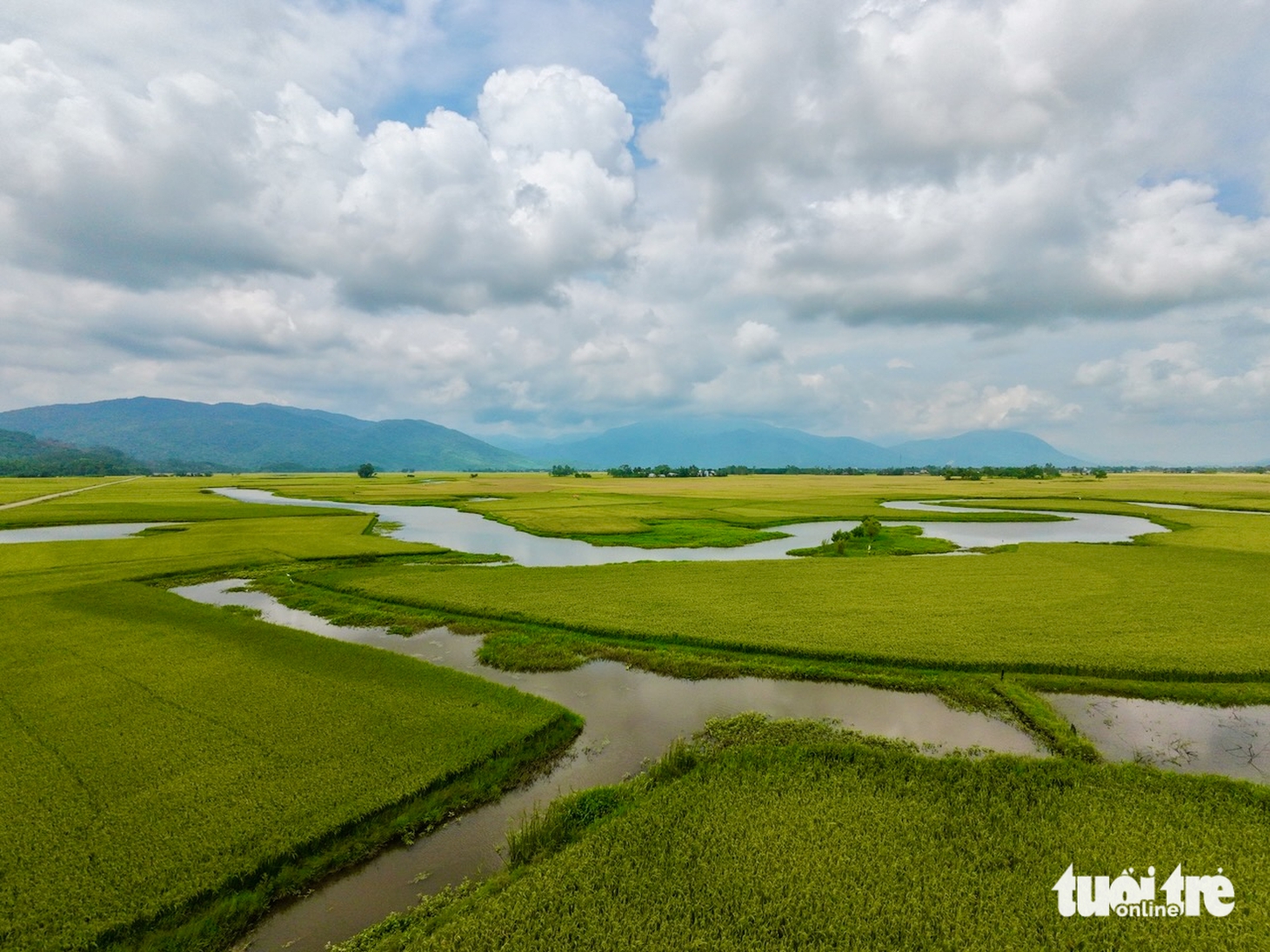 Hẹn em ngày nhật thực - Ảnh 19.