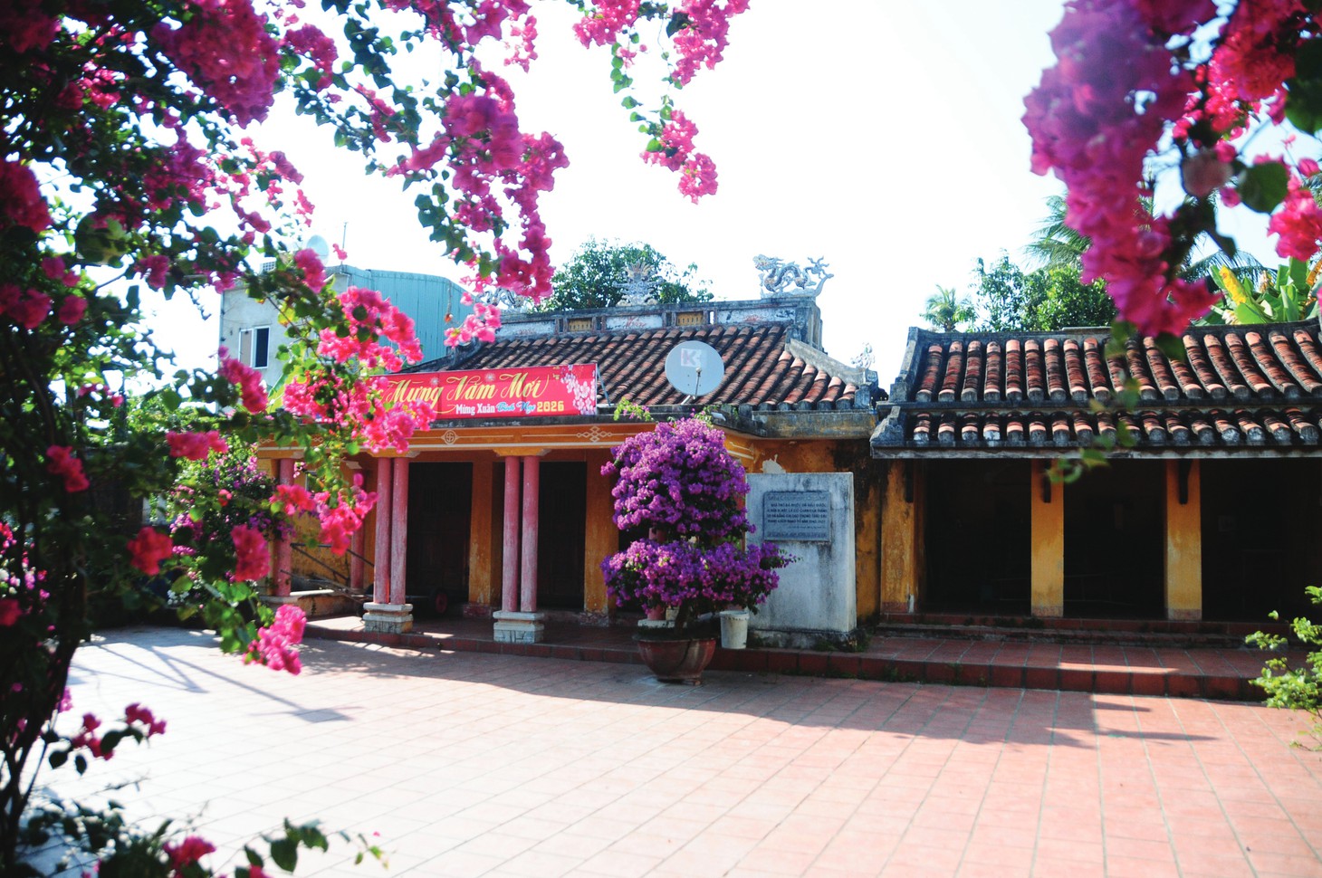 xóm Mồ Côi - Ảnh 5.