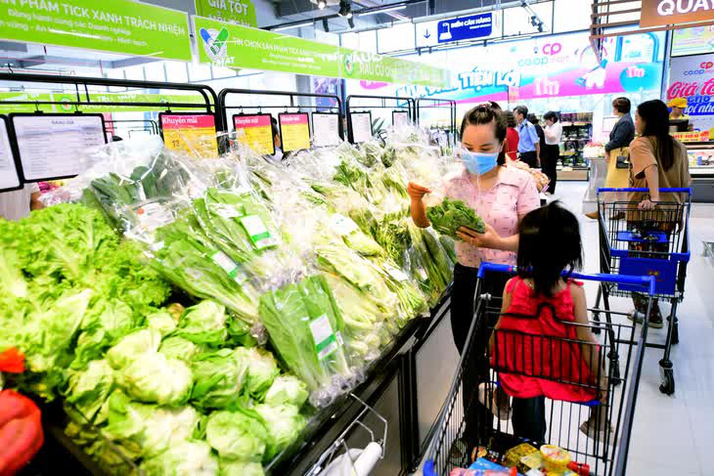 Tin tức sáng 5-4: Sáng nay, người dân TP.HCM có thể đến 58 điểm khám sức khỏe miễn phí - Ảnh 3.