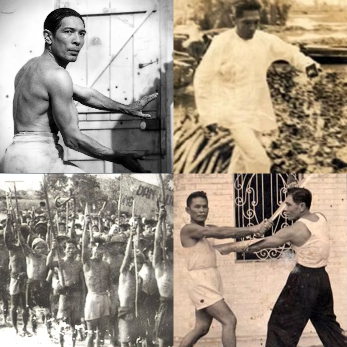 Johnny Trí Nguyễn - Ảnh 5.