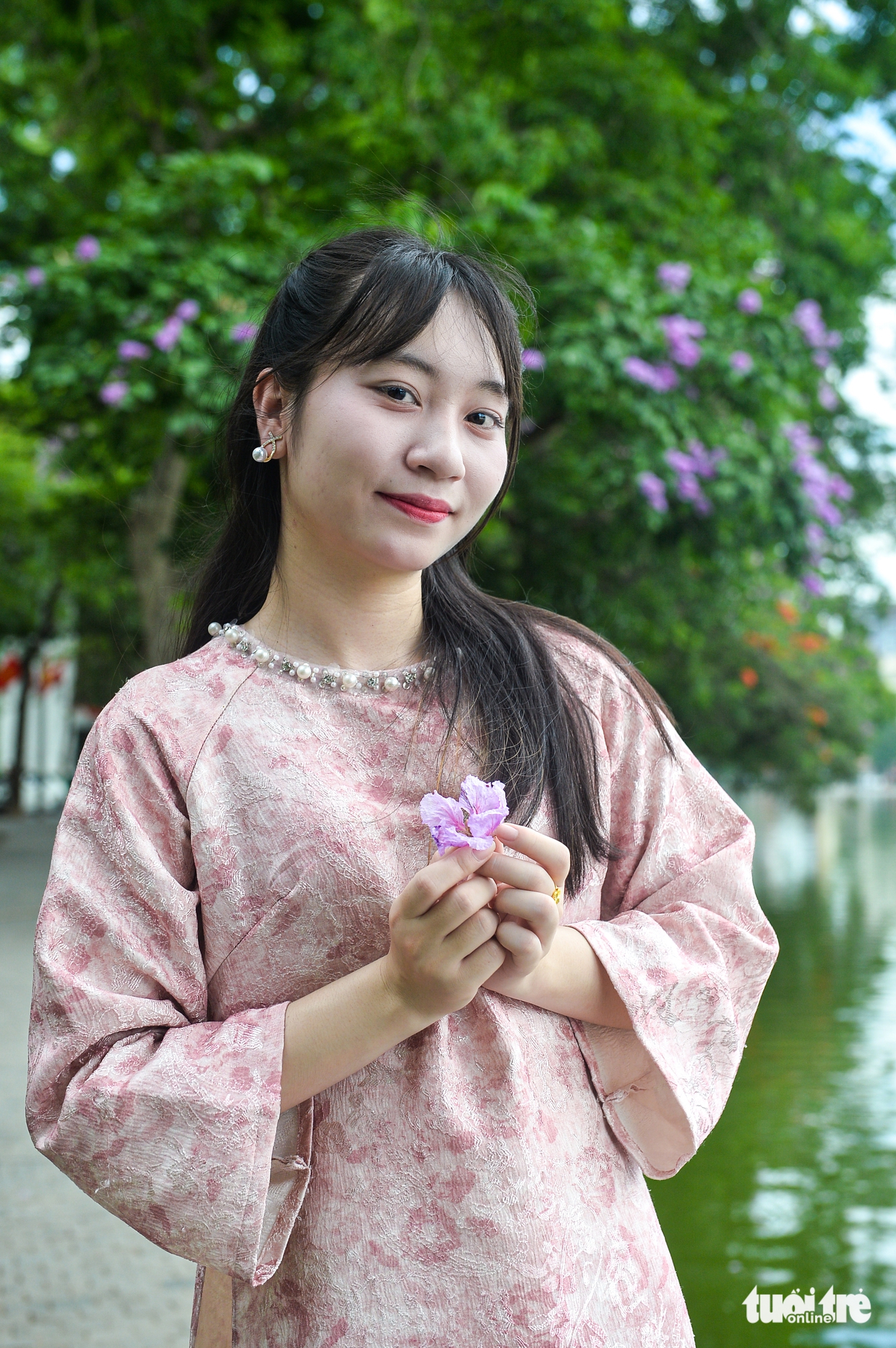 hoa bằng lăng - Ảnh 5.