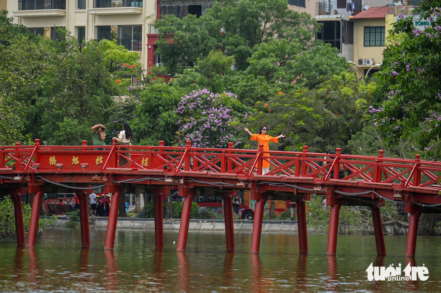 hoa bằng lăng - Ảnh 7.