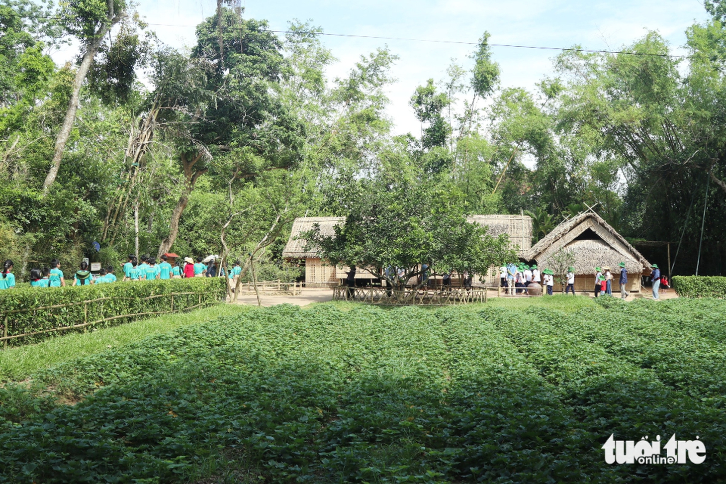 Kim Liên - Ảnh 4.