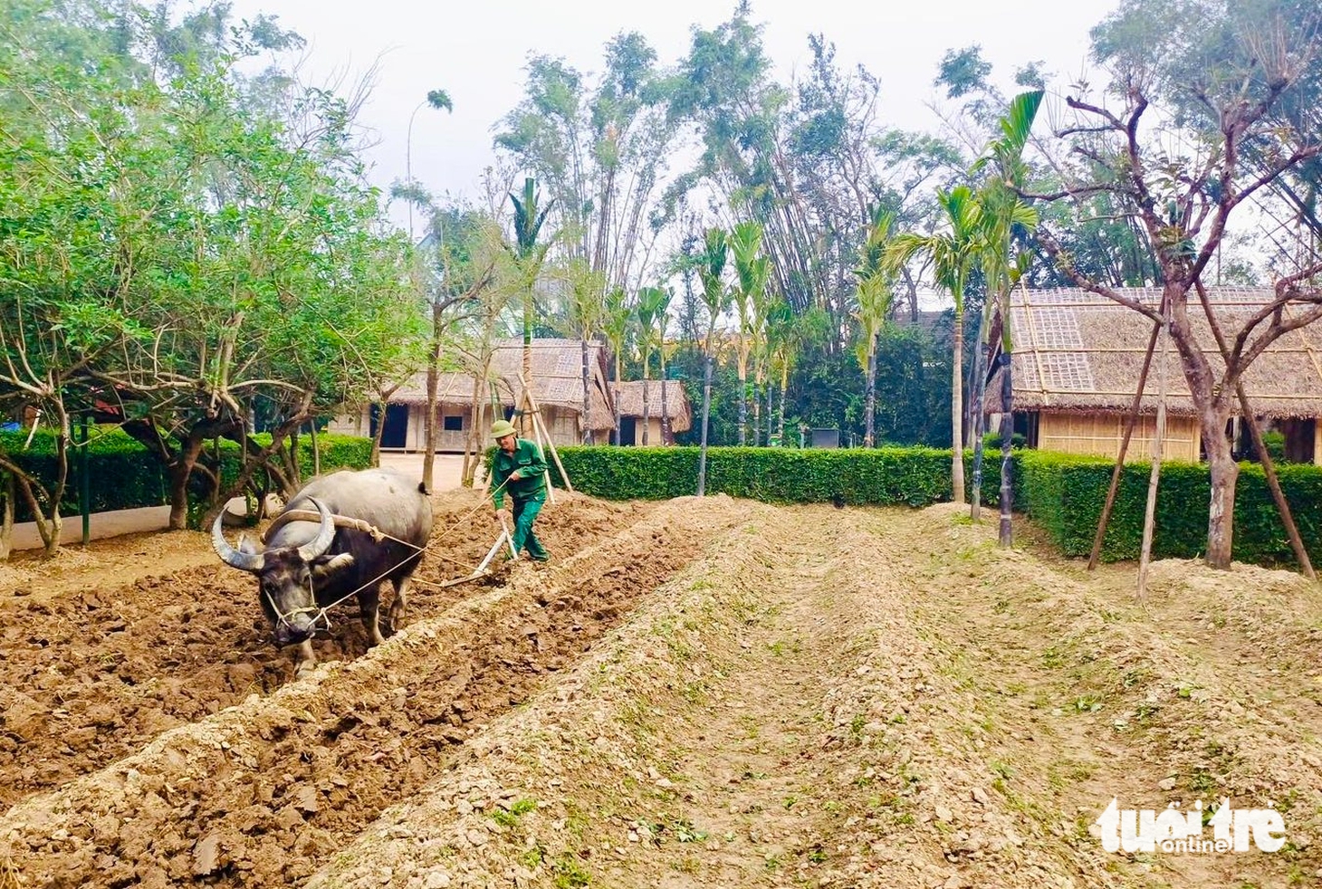 Kim Liên tháng 5, nơi triệu người tìm về quê Bác - Ảnh 10.