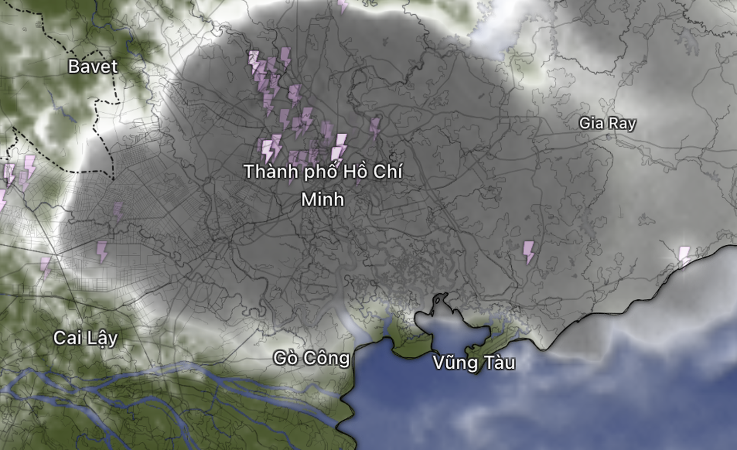 TP.HCM có 'mưa vàng' sau chuỗi ngày nắng khô người - Ảnh 9.