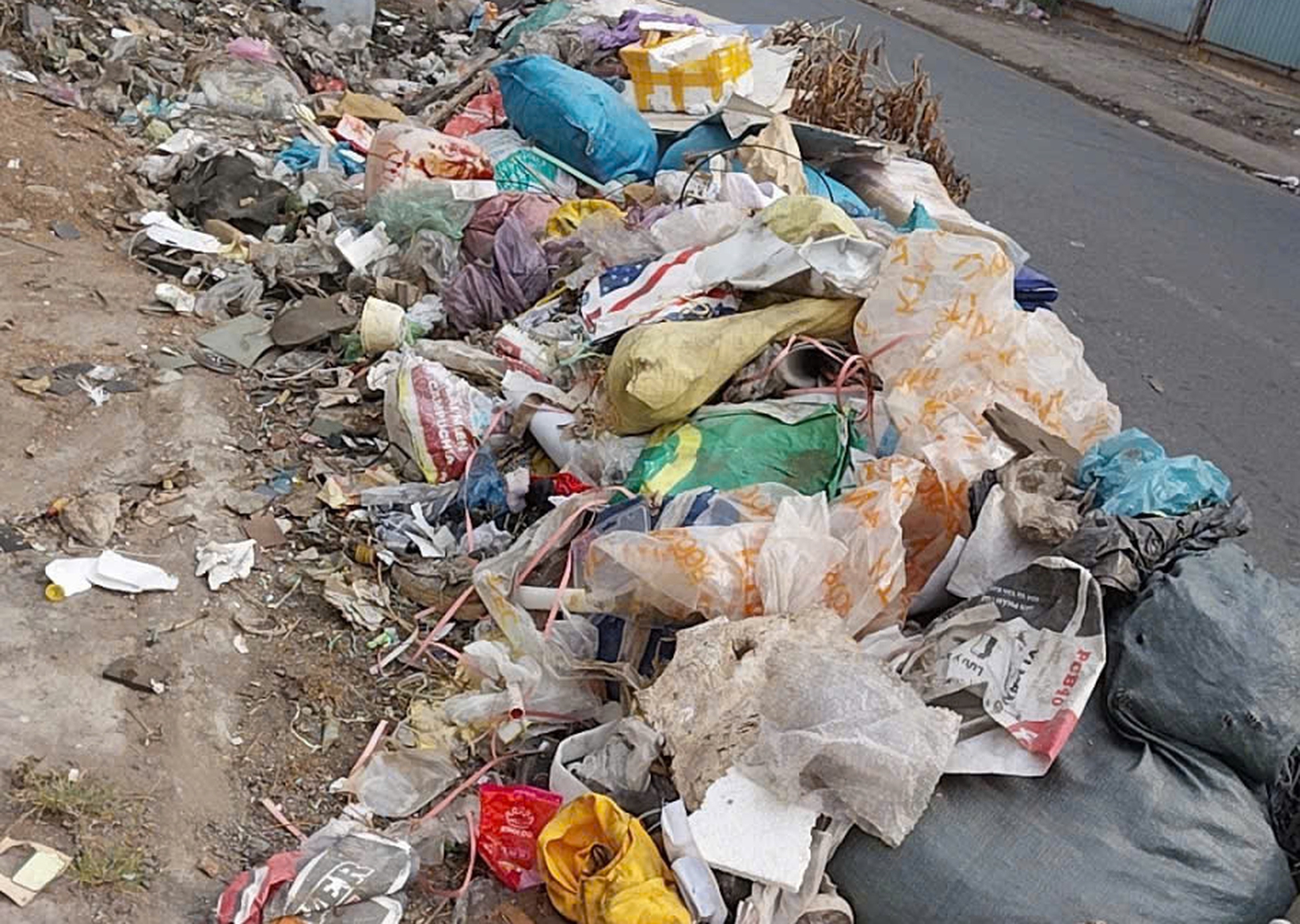 môi trường - Ảnh 4.