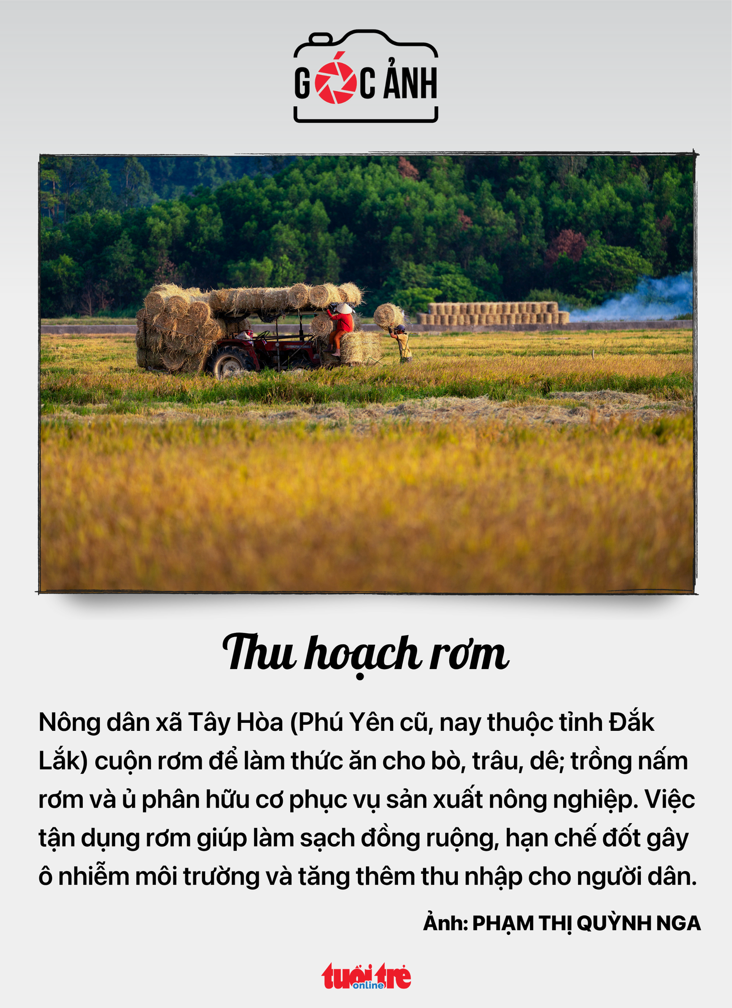 ngân hàng - Ảnh 9.