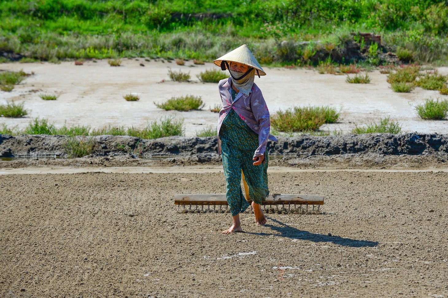 muối - Ảnh 4.