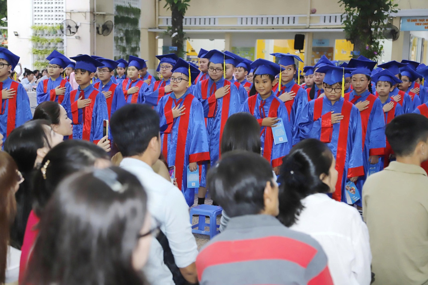 học sinh lớp 5 - Ảnh 2.