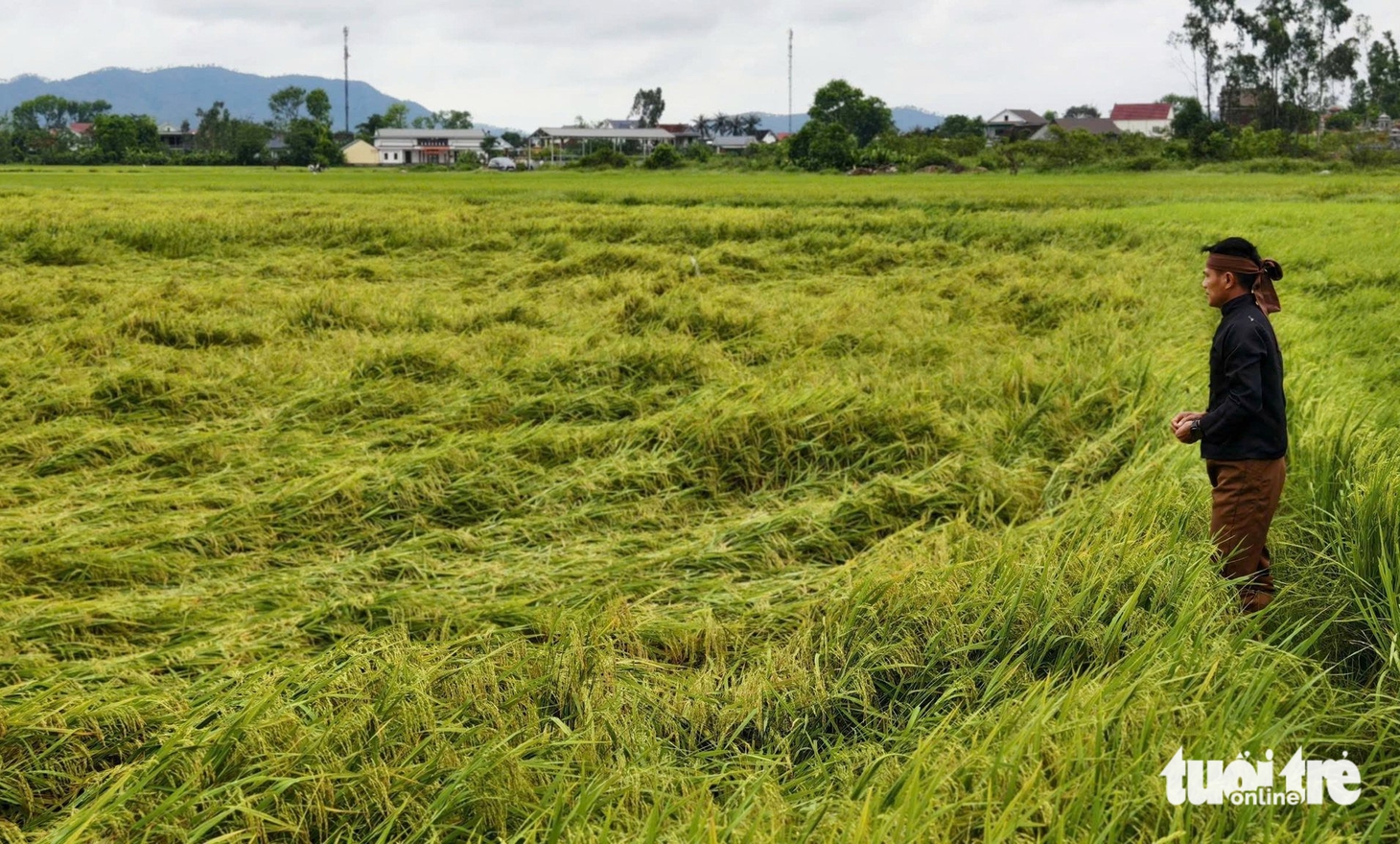dông lốc - Ảnh 8.