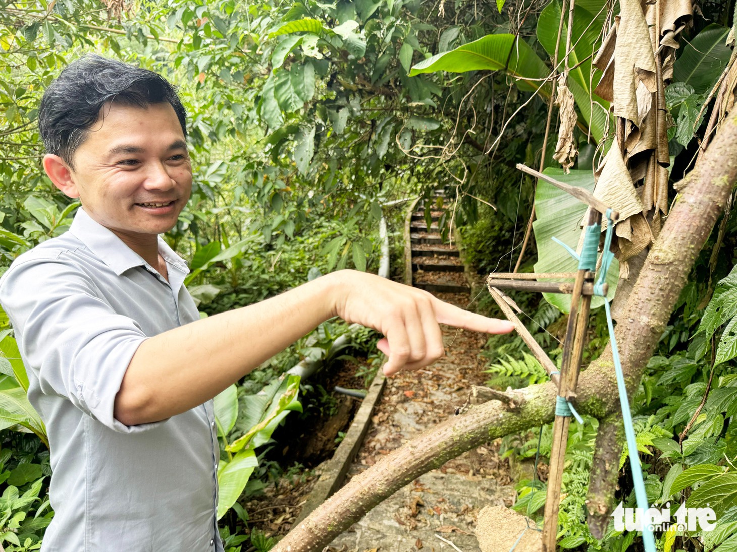 Người Xê Đăng bày ma trận bẫy bắt 'ông Tý' trộm sâm Ngọc Linh - Ảnh 1.