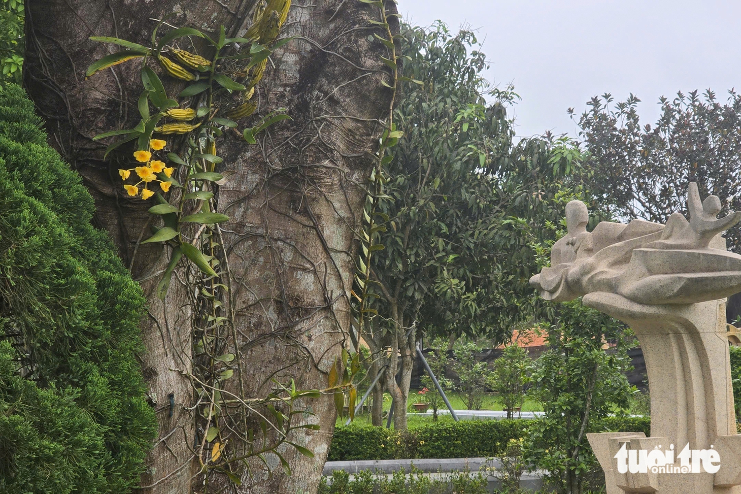tri ân liệt sĩ - Ảnh 7.