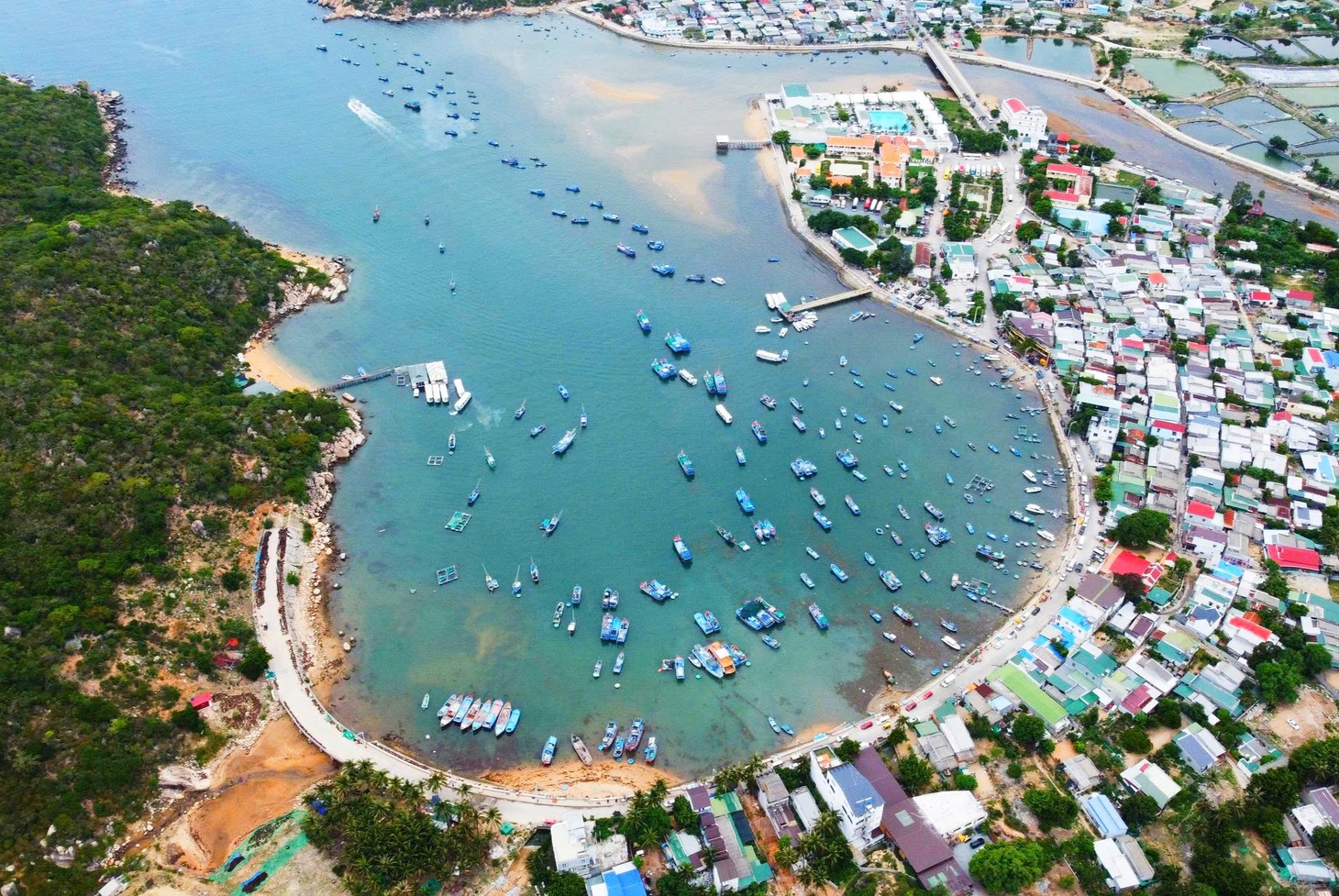 Khánh Hòa - Ảnh 1.