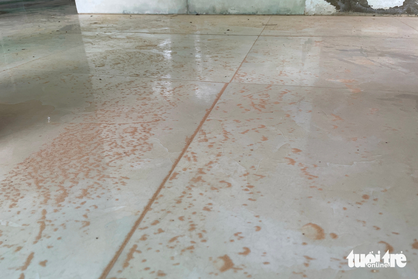 sân bay Quảng Trị - Ảnh 3.