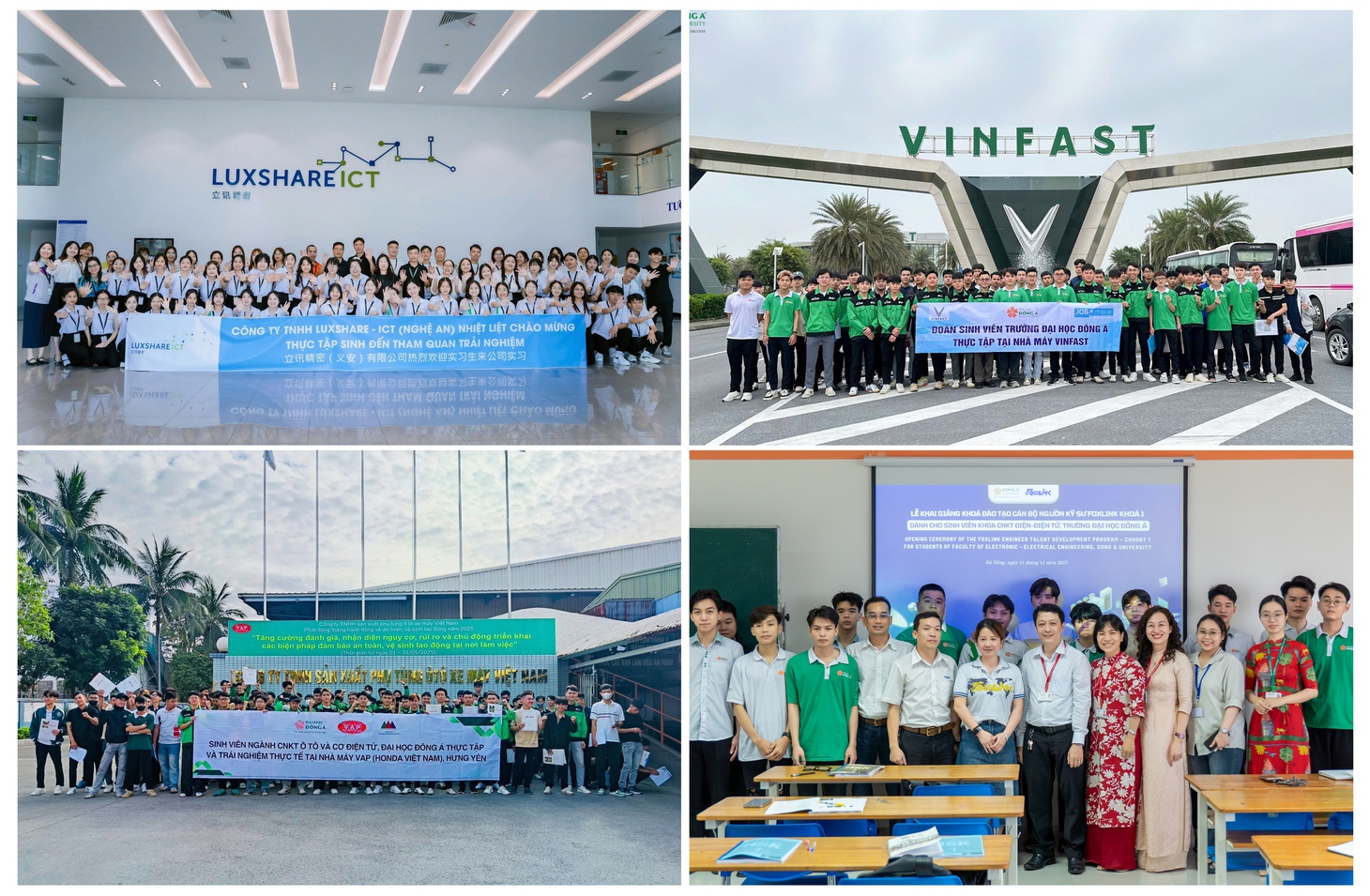 Đại học Đông Á - Ảnh 4.