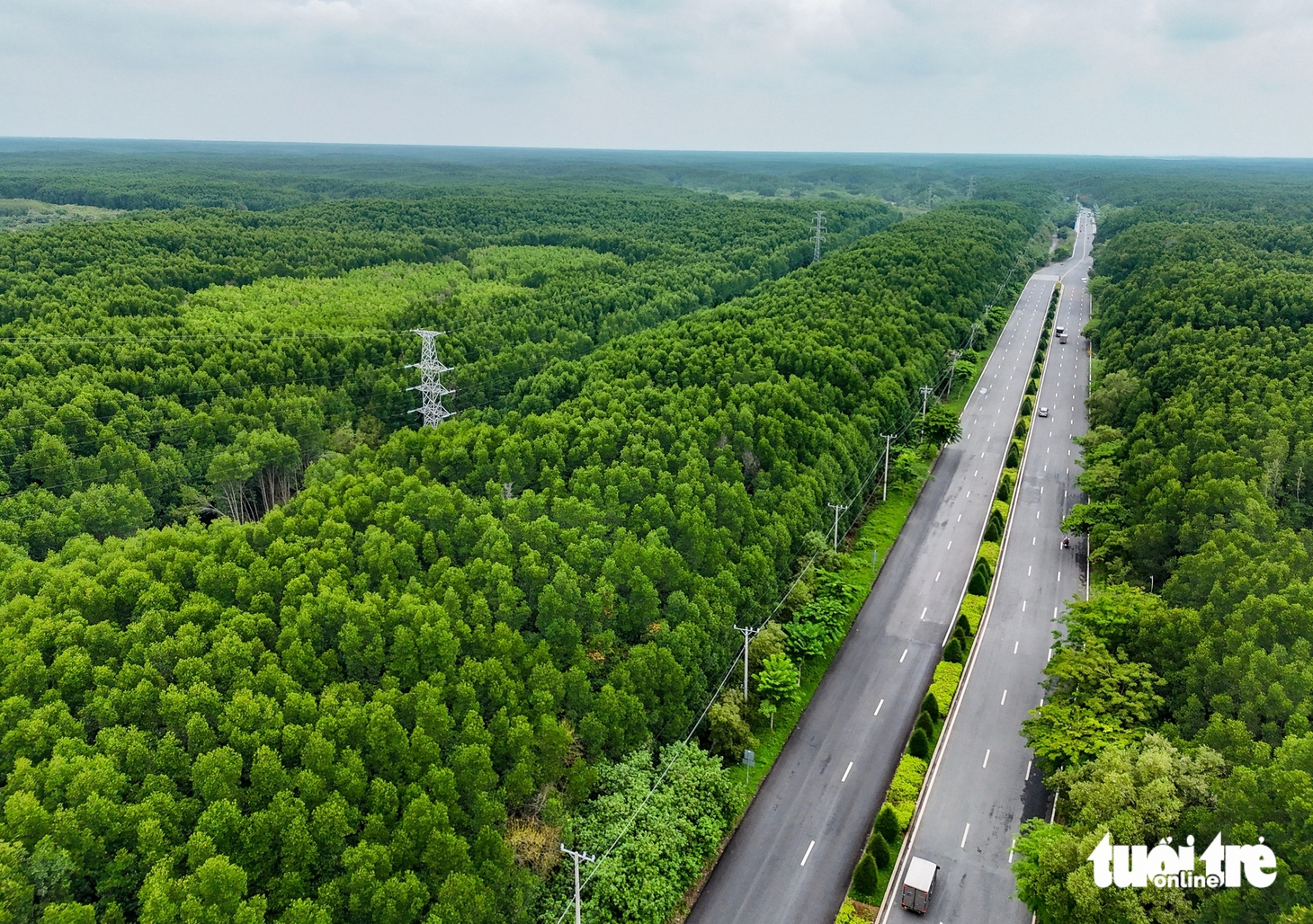 Cần Giờ, Xuân Sơn - Những cánh rừng hòa bình, 50 năm đâm chồi từ ngày thành phố mang tên Bác - Ảnh 2.