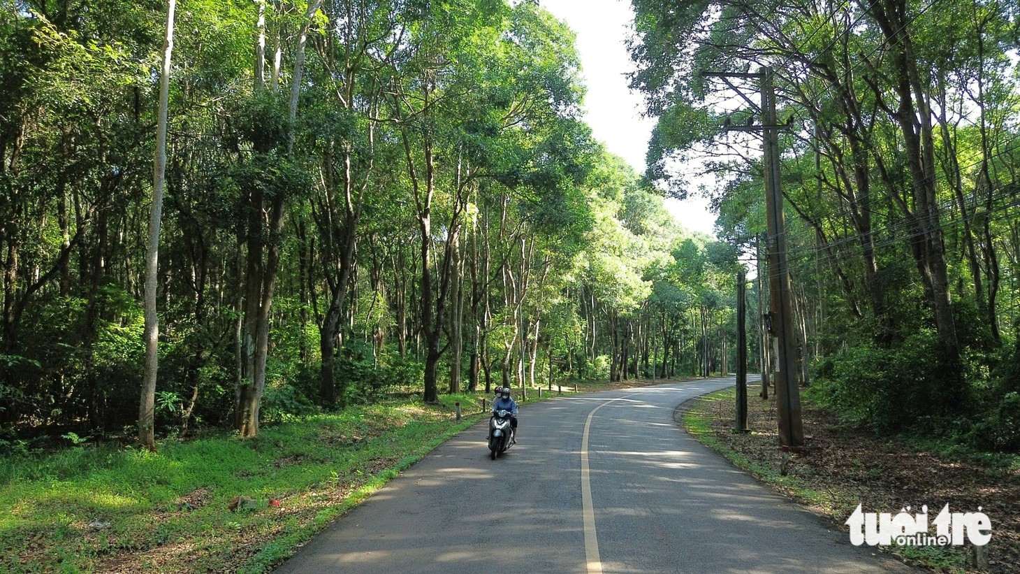 Cần Giờ, Xuân Sơn - Những cánh rừng hòa bình, 50 năm đâm chồi từ ngày thành phố mang tên Bác - Ảnh 11.
