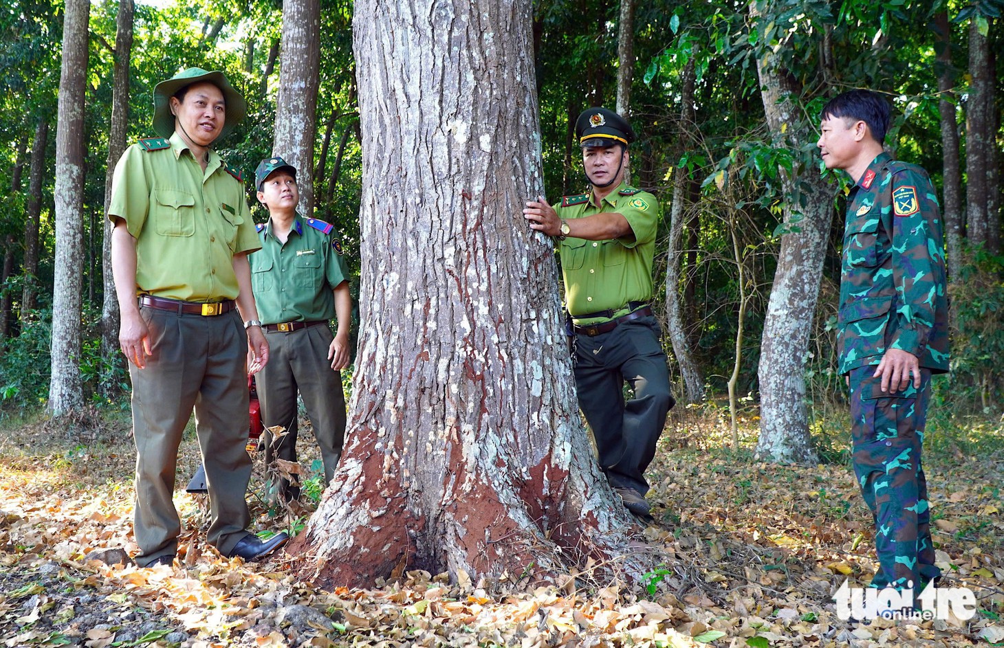 Cần Giờ, Xuân Sơn - Những cánh rừng hòa bình, 50 năm đâm chồi từ ngày thành phố mang tên Bác - Ảnh 15.