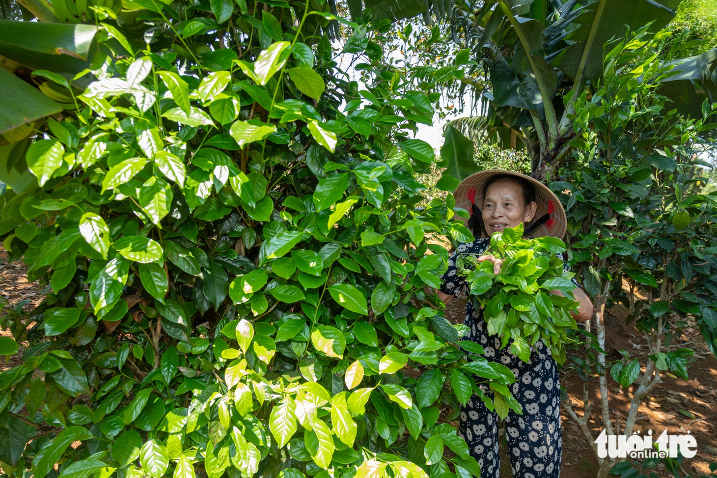 vua Hàm Nghi - Ảnh 2.