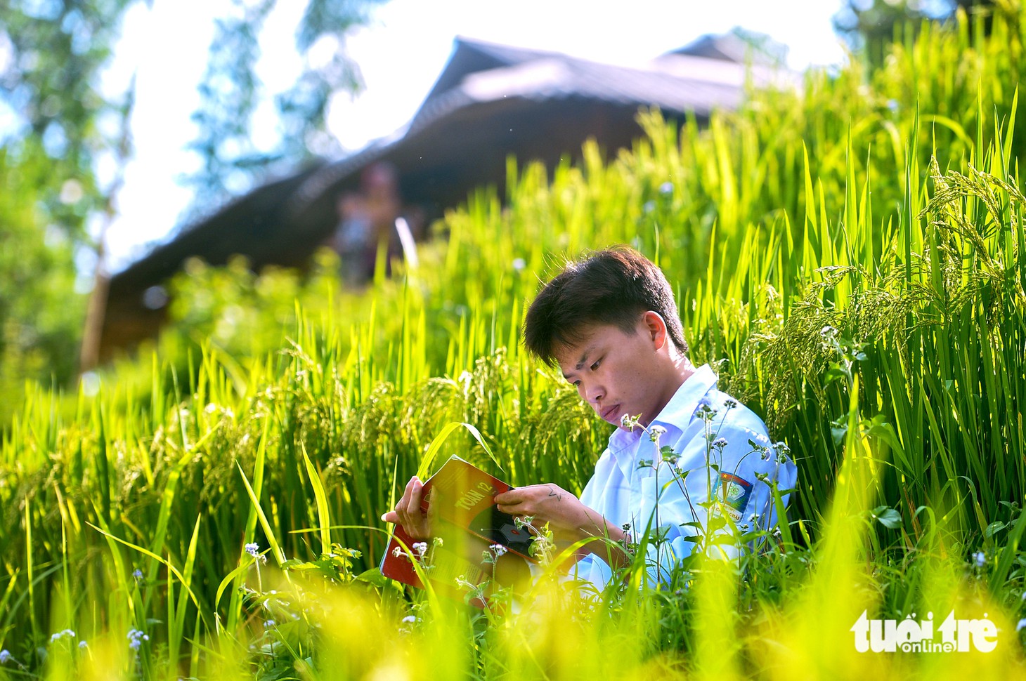 Từ phụ hồ đến phòng thi: kỳ thi cuộc đời của Cứ A Dà - Ảnh 1.