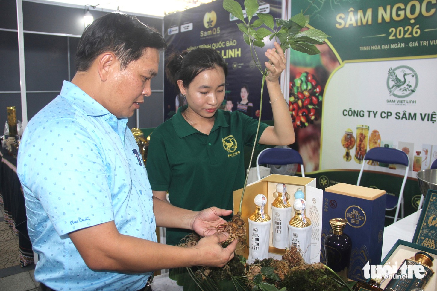 Đưa sâm Ngọc Linh từ núi xuống biển, mở rộng thị trường cho quốc bảo Việt Nam - Ảnh 1.