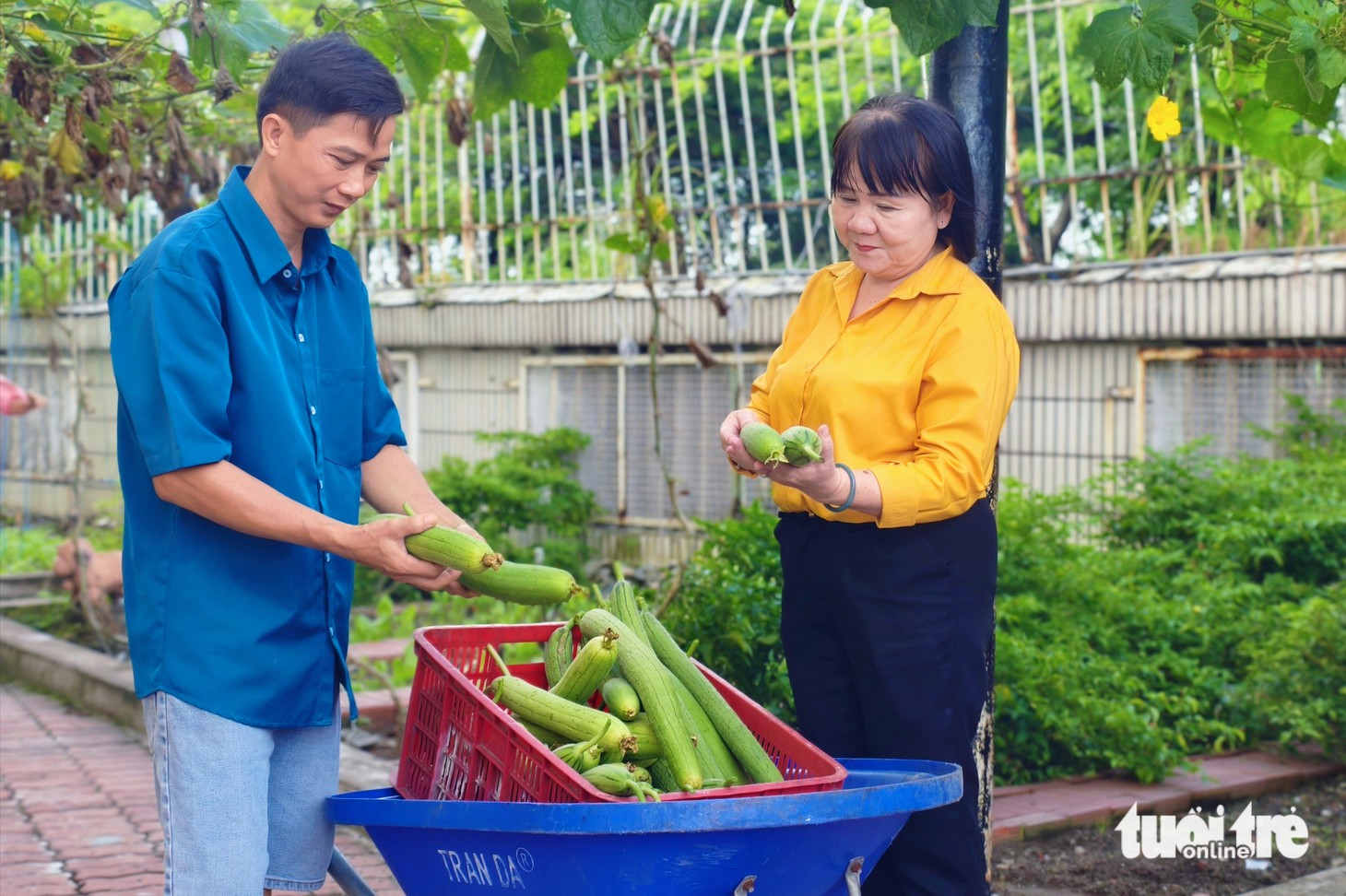 Cô trò trường mầm non ở TP.HCM thích thú với giàn bầu hồ lô trăm trái - Ảnh 10.
