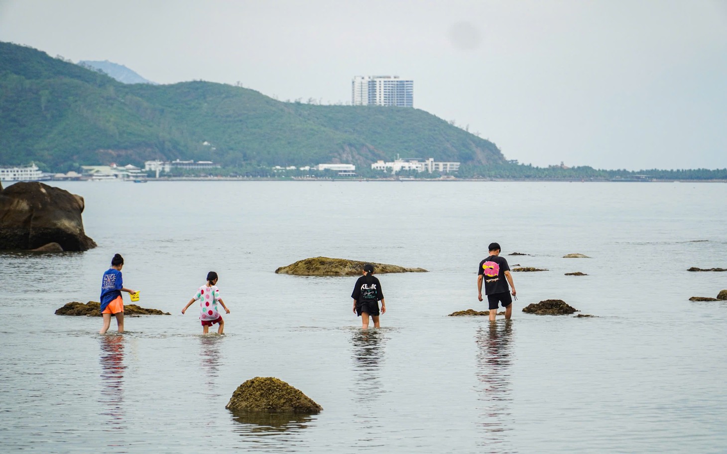 Cận cảnh 'rừng san hô' ven bờ ở Hòn Chồng - Nha Trang - Ảnh 6.