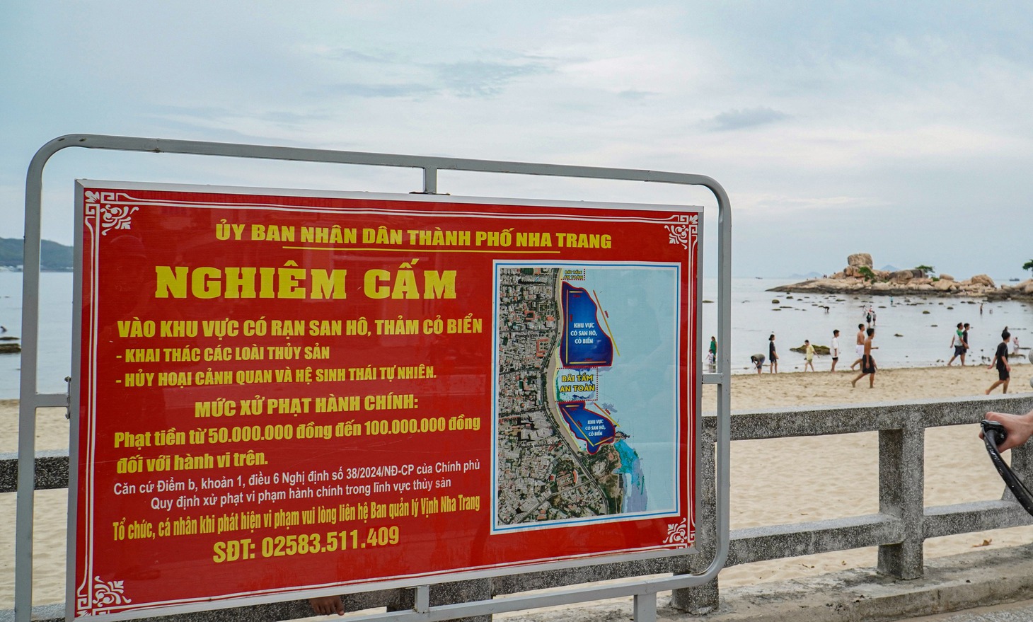 Cận cảnh 'rừng san hô' ven bờ ở Hòn Chồng - Nha Trang - Ảnh 8.