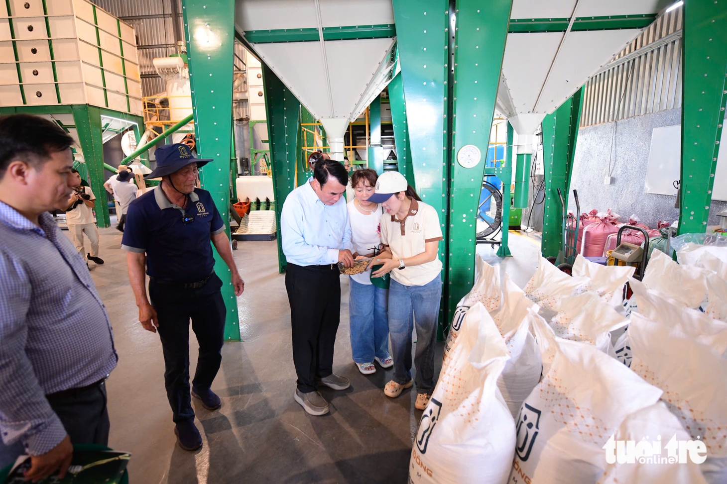 Nâng chất cà phê Robusta Việt từ những vườn trồng chất lượng cao - Ảnh 4.