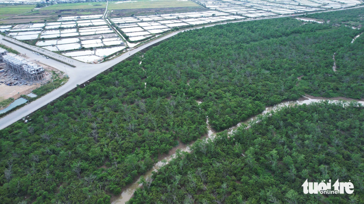 Flycam vị trí xây cầu Bến Thủy 3 hơn 2.500 tỉ đồng nối Nghệ An - Hà Tĩnh - Ảnh 9.