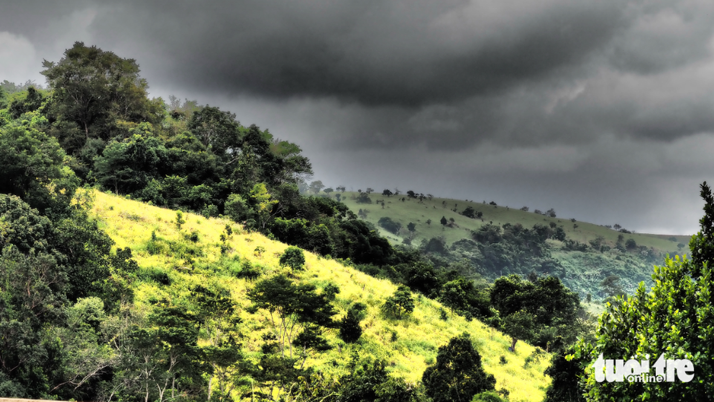 Dấu chân K51 tìm kiếm liệt sĩ tại rừng già Mondulkiri trong mùa khô 2026 - Ảnh 1.